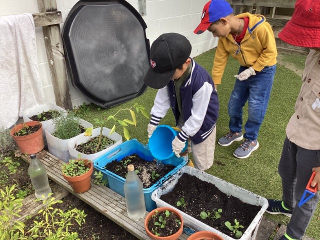 Little Earth Montessori Panmure