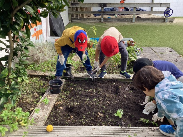Little Earth Montessori Panmure
