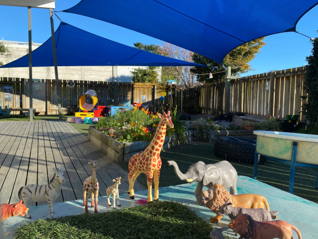 Check out our Centre Gallery
