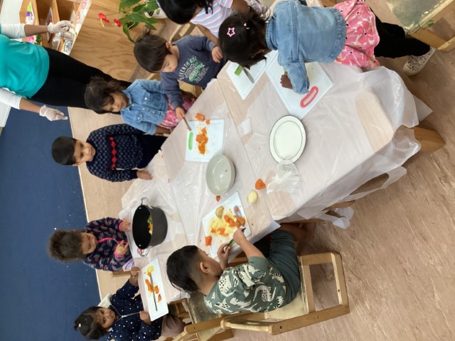 Little Earth Montessori Panmure