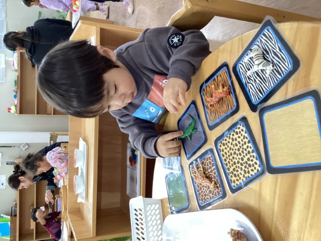 Little Earth Montessori Panmure