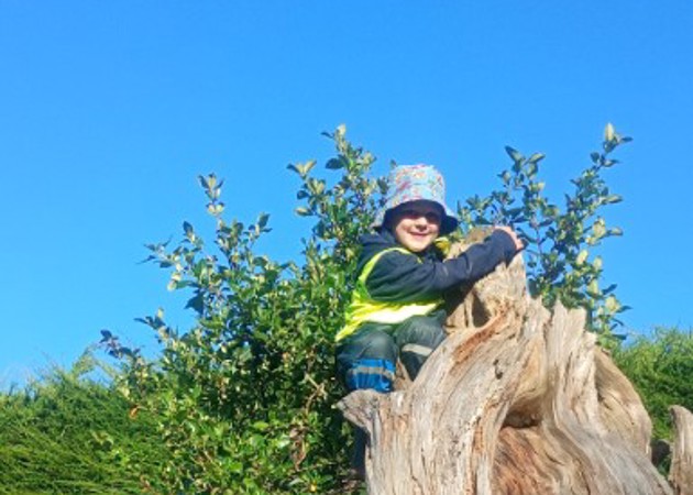 Abel Climbing (Small)