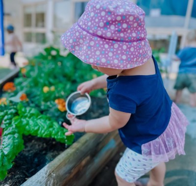 Lollipops Napier Port