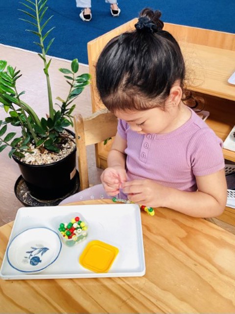 Little Earth Montessori Panmure