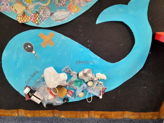 Little Earth Montessori Panmure