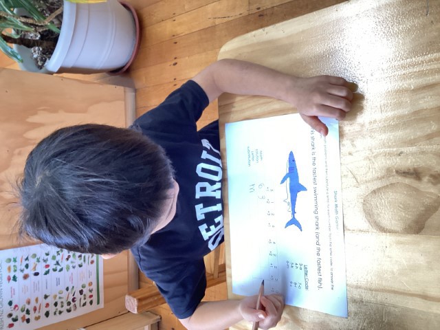 Little Earth Montessori Panmure