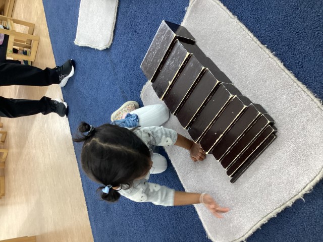 Little Earth Montessori Panmure