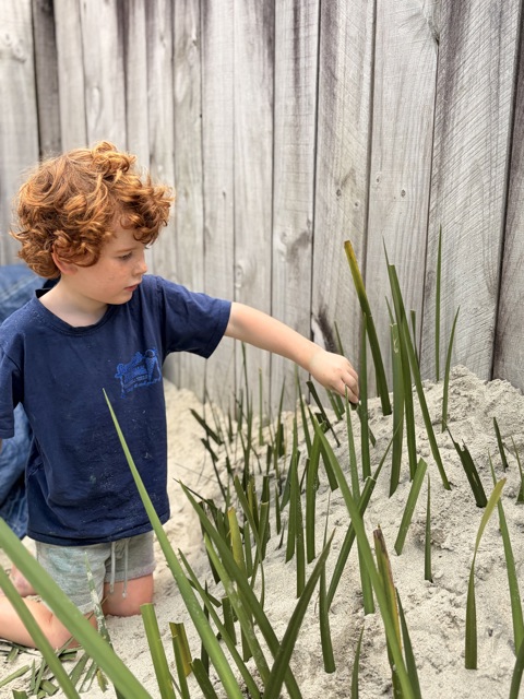 Check out our Centre Gallery