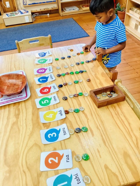 Little Earth Montessori Panmure