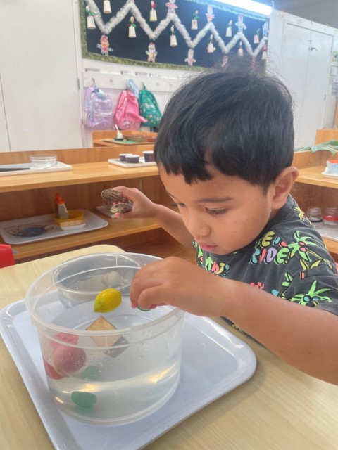 Little Earth Montessori Panmure