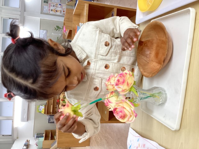 Little Earth Montessori Panmure