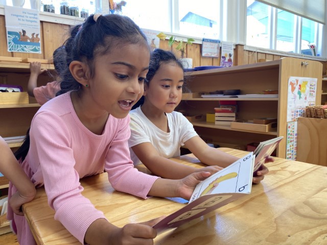 Little Earth Montessori Panmure