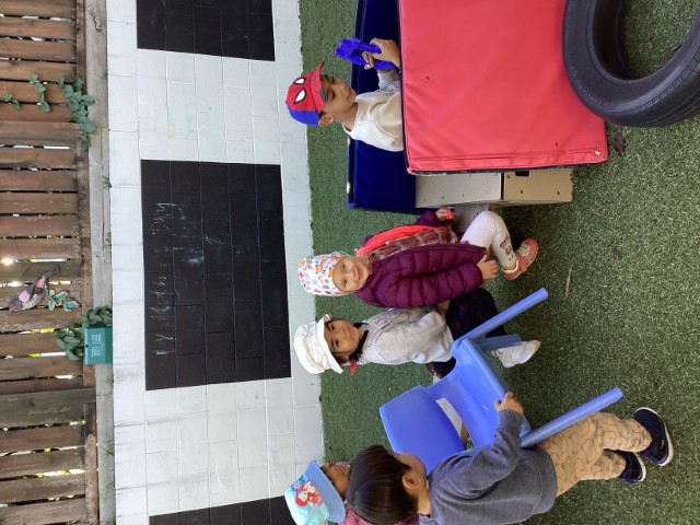 Little Earth Montessori Panmure