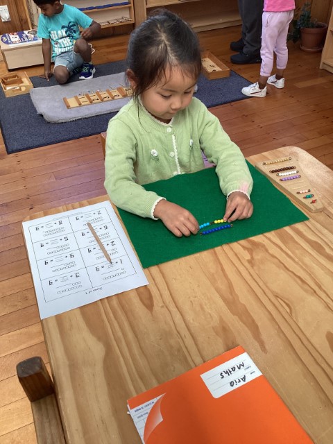 Little Earth Montessori Panmure