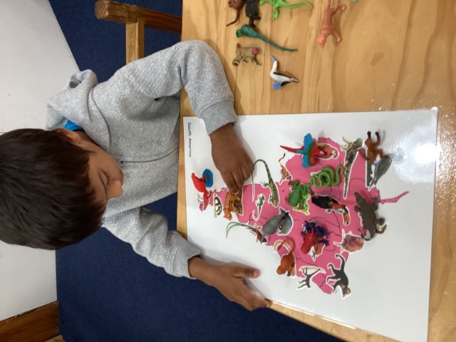 Little Earth Montessori Panmure