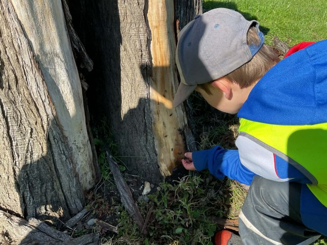 Check out our Centre Gallery