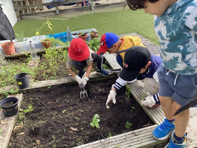 Little Earth Montessori Panmure