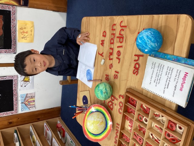 Little Earth Montessori Panmure