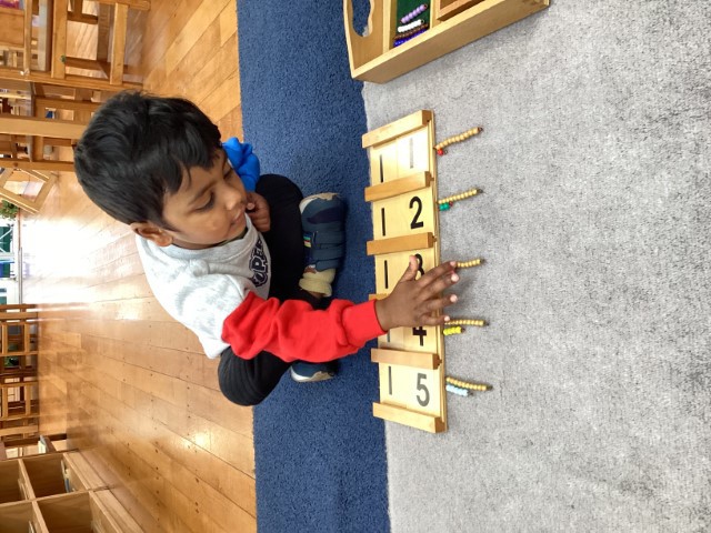 Little Earth Montessori Panmure