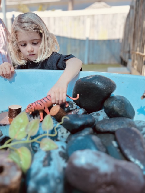 Check out our Centre Gallery