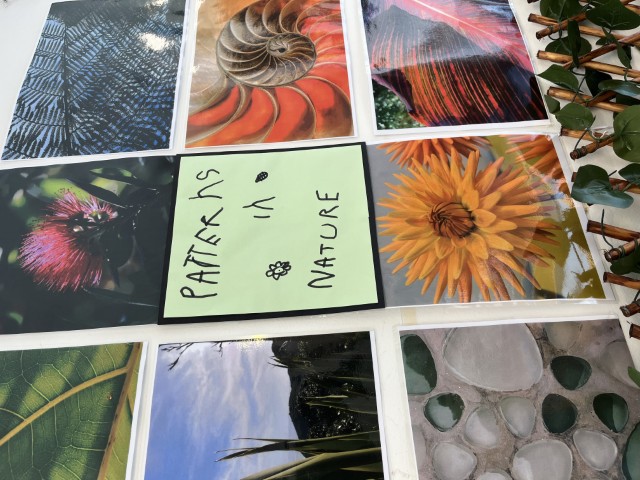 Check out our Centre Gallery