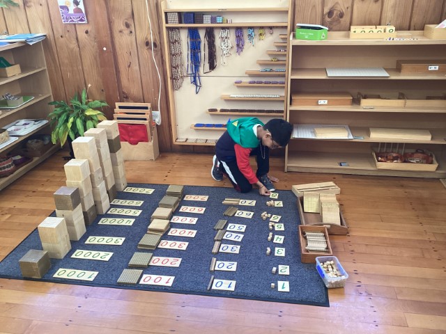 Little Earth Montessori Panmure