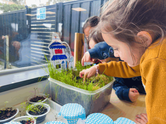 Check out our Centre Gallery