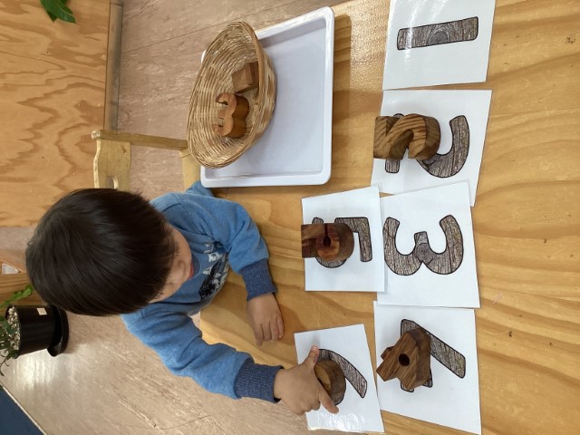 Little Earth Montessori Panmure