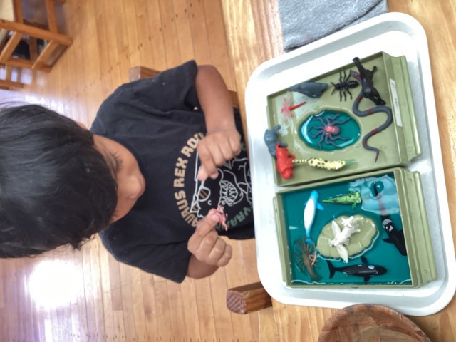 Little Earth Montessori Panmure