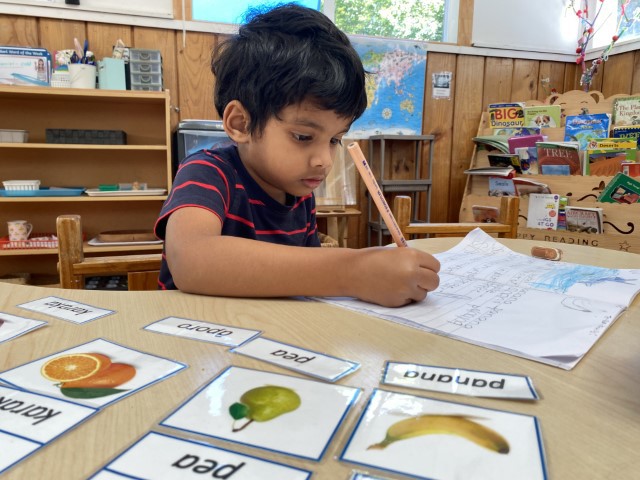 Little Earth Montessori Panmure