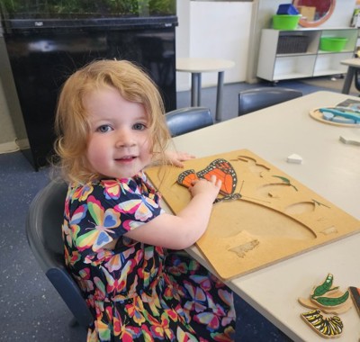 Little Wonders Glendowie