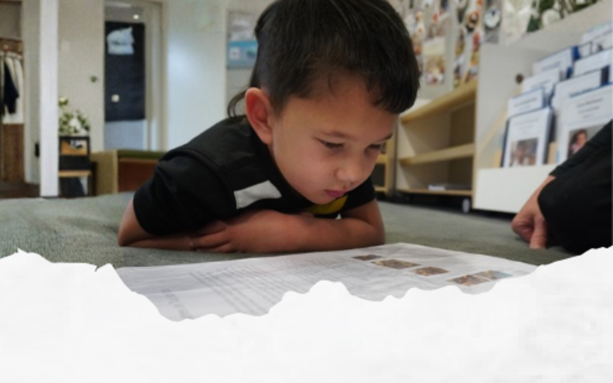 Contributing to your Child’s Assessment