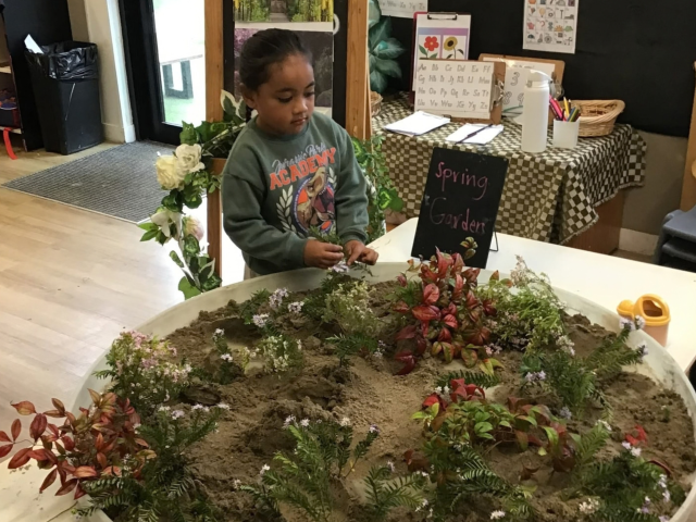 Check out our Centre Gallery