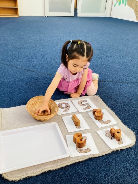 Little Earth Montessori Panmure