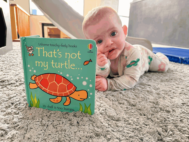 Check out our Centre Gallery